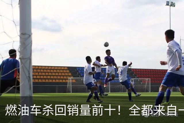 燃油车杀回销量前十！全都来自一个品牌，也是燃油车最后独苗